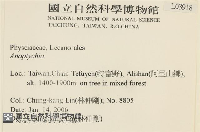 登錄號:L00003918藏品圖，第2張