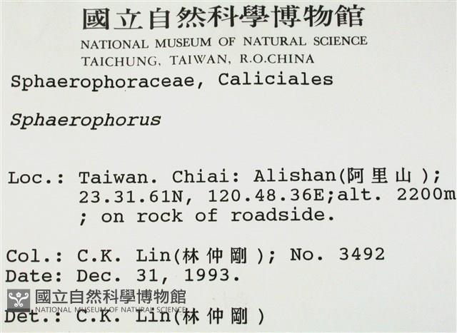 登錄號:L00000818藏品圖，第2張