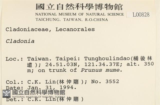 登錄號:L00000828藏品圖，第2張