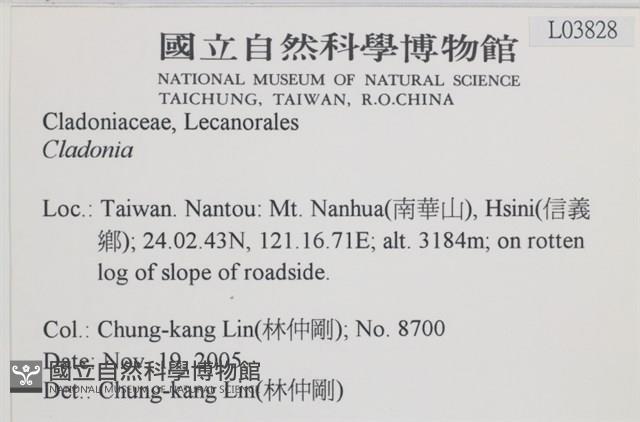 登錄號:L00003828藏品圖，第2張