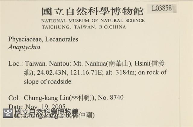 登錄號:L00003858藏品圖，第2張