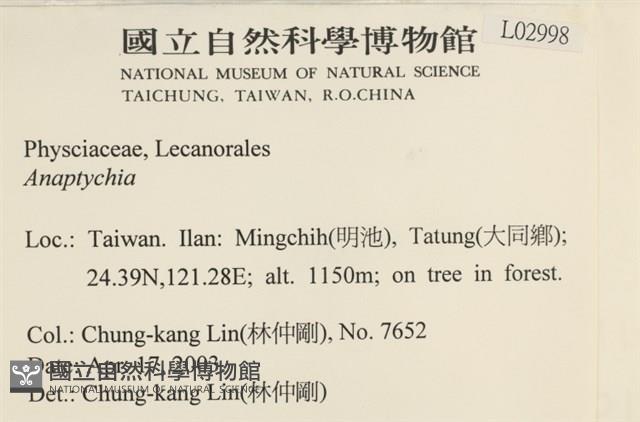 登錄號:L00002998藏品圖，第2張