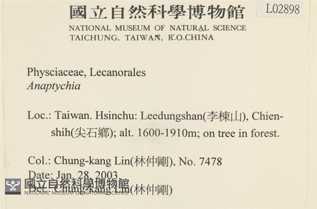 登錄號:L00002898藏品圖，第2張