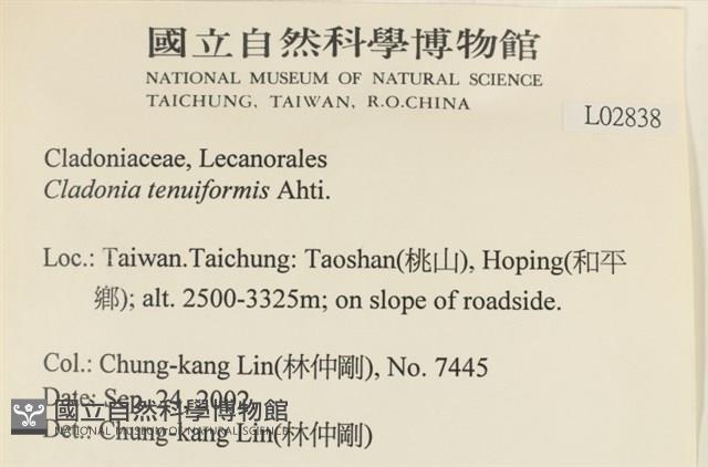 登錄號:L00002838藏品圖，第2張