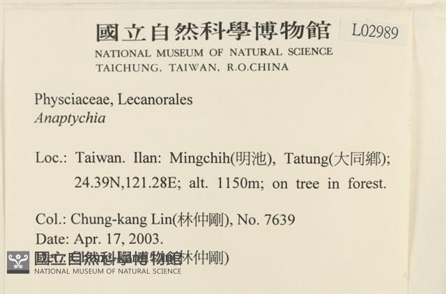 登錄號:L00002989藏品圖，第2張