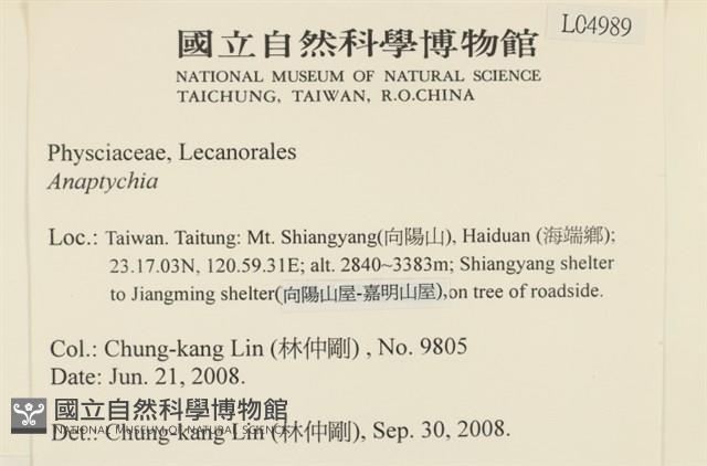 登錄號:L00004989藏品圖，第2張