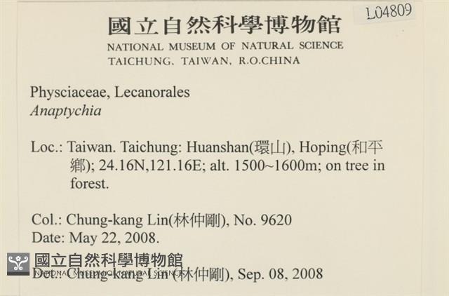 登錄號:L00004809藏品圖，第2張