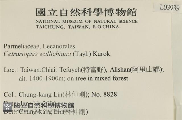 登錄號:L00003939藏品圖，第2張