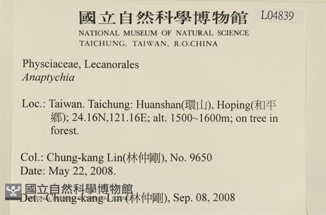登錄號:L00004839藏品圖，第2張