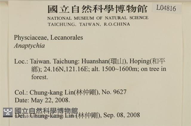 登錄號:L00004186藏品圖，第2張