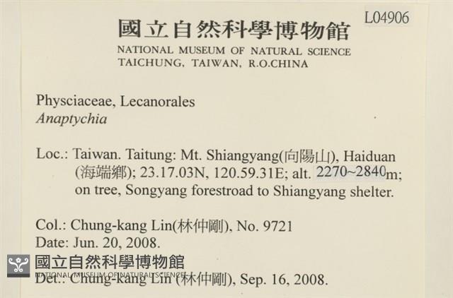登錄號:L00004906藏品圖，第2張