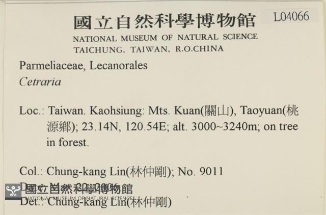 登錄號:L00004066藏品圖，第2張