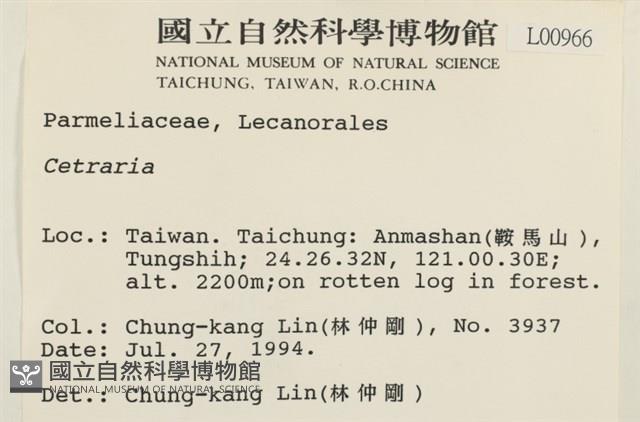 登錄號:L00000966藏品圖，第2張