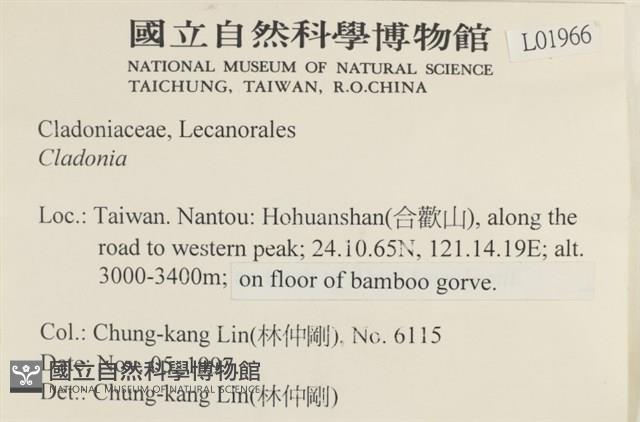 登錄號:L00001966藏品圖，第2張