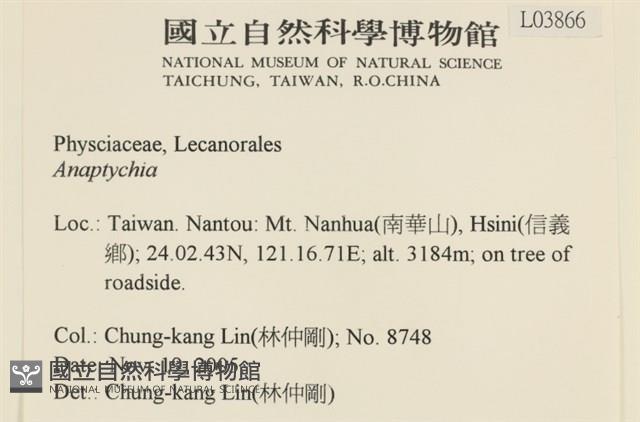 登錄號:L00003866藏品圖，第2張