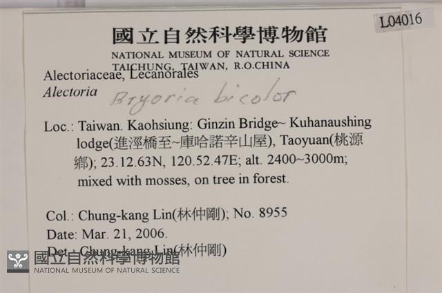 登錄號:L00004016藏品圖，第2張