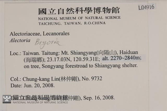 登錄號:L00004916藏品圖，第2張