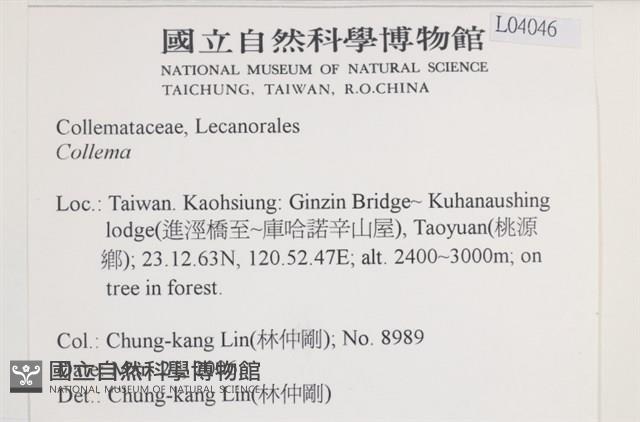 登錄號:L00004046藏品圖，第2張