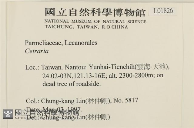 登錄號:L00001826藏品圖，第2張
