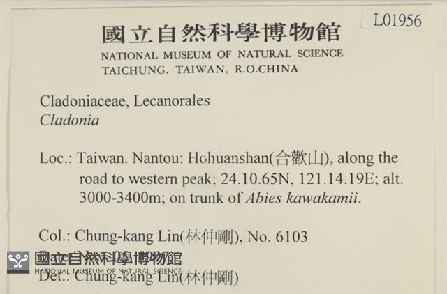 登錄號:L00001956藏品圖，第2張