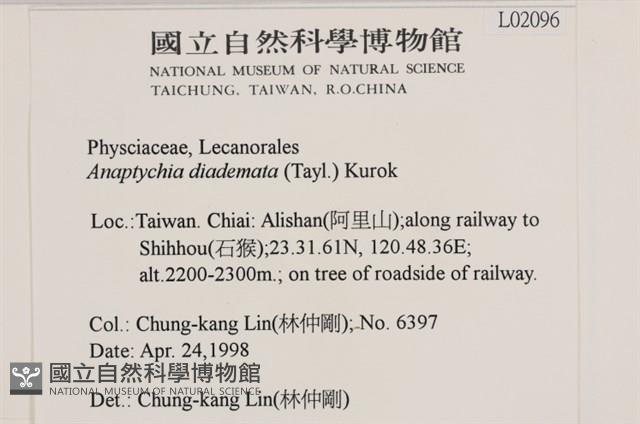 登錄號:L00002096藏品圖，第2張