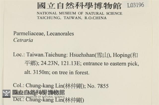 登錄號:L00003196藏品圖，第2張