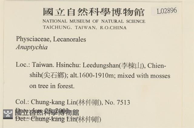 登錄號:L00002896藏品圖，第2張