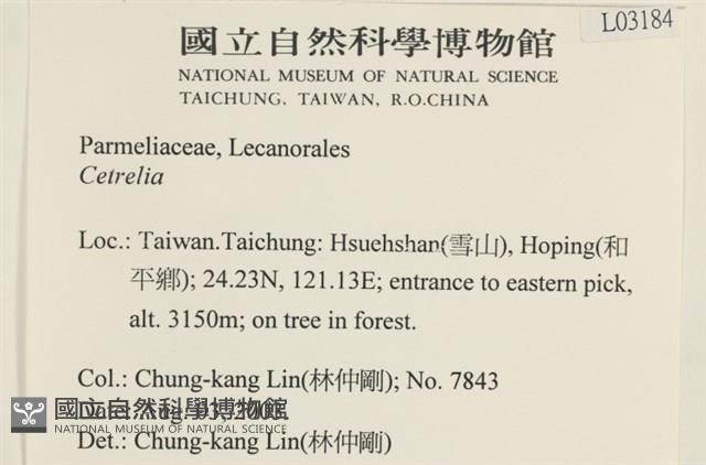 登錄號:L00003184藏品圖，第2張
