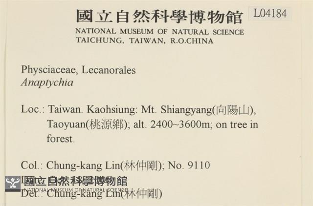 登錄號:L00004184藏品圖，第2張