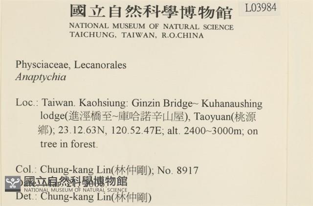 登錄號:L00003984藏品圖，第2張
