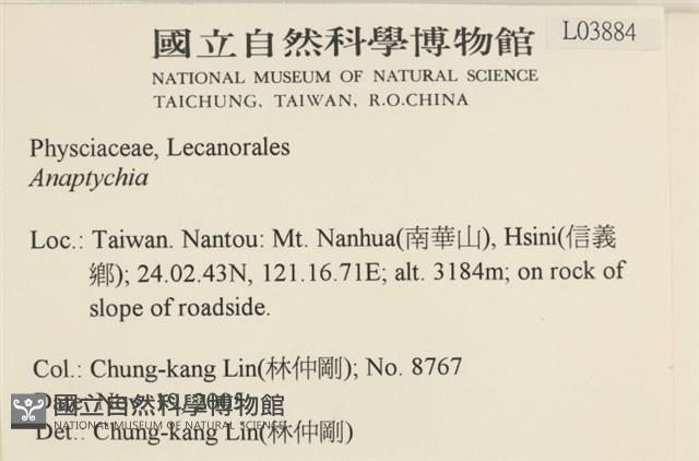 登錄號:L00003884藏品圖，第2張
