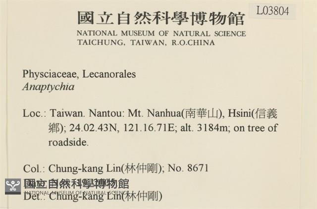 登錄號:L00003804藏品圖，第2張