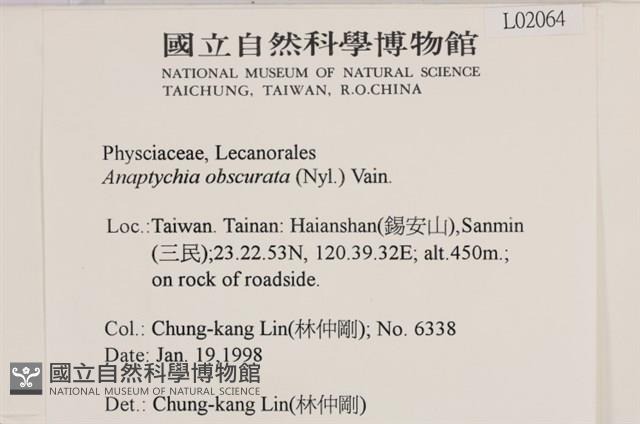 登錄號:L00002064藏品圖，第2張