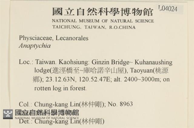 登錄號:L00004024藏品圖，第2張