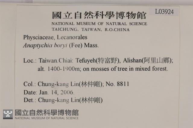 登錄號:L00003924藏品圖，第2張