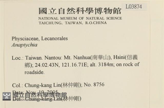 登錄號:L00003874藏品圖，第2張
