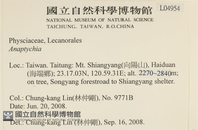 登錄號:L00004954藏品圖，第2張