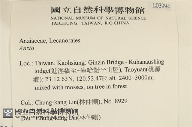登錄號:L00003994藏品圖，第2張