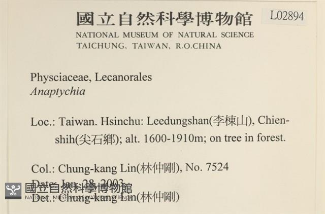 登錄號:L00002894藏品圖，第2張