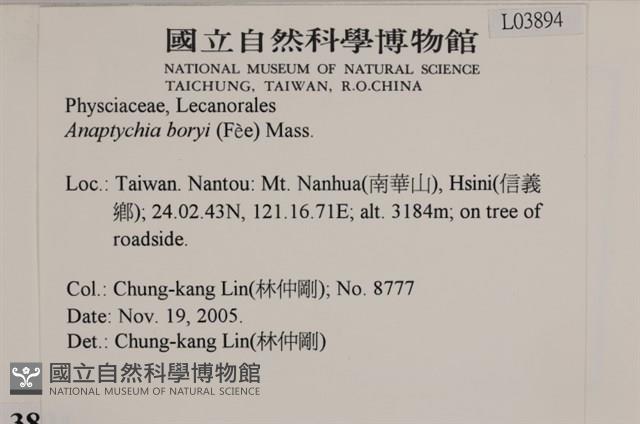登錄號:L00003894藏品圖，第2張