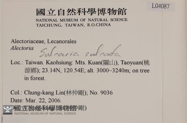 登錄號:L00004087藏品圖，第2張