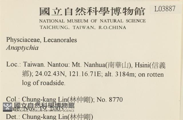登錄號:L00003887藏品圖，第2張