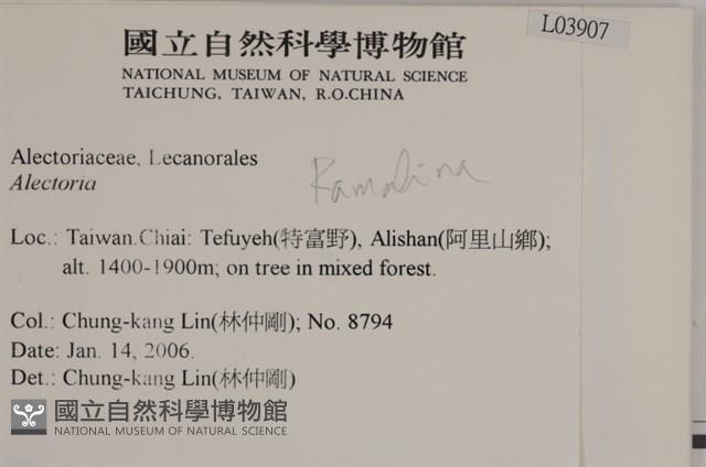 登錄號:L00003907藏品圖，第2張