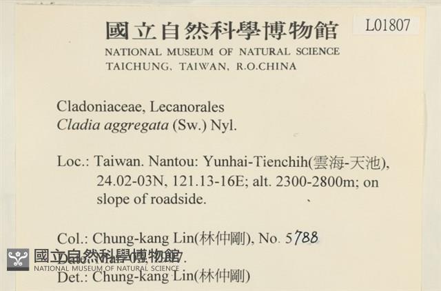 登錄號:L00001807藏品圖，第2張