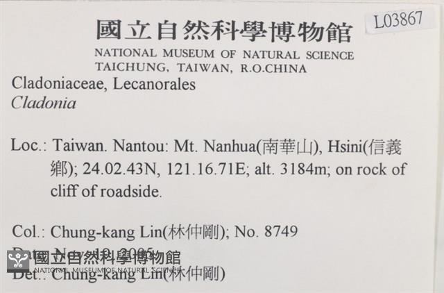 登錄號:L00003867藏品圖，第2張