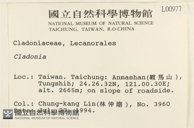 登錄號:L00000977藏品圖，第2張