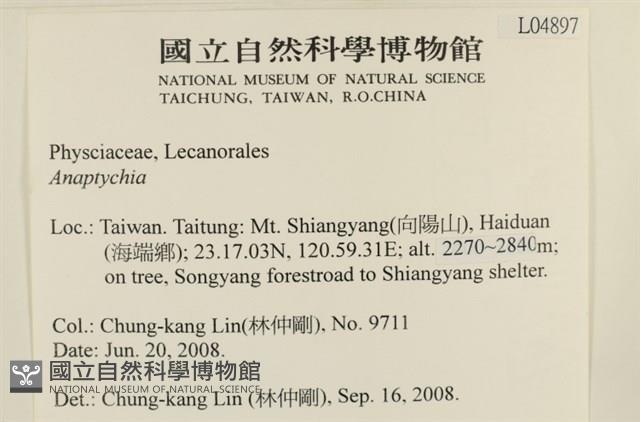 登錄號:L00004897藏品圖，第2張