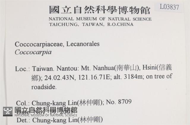 登錄號:L00003837藏品圖，第2張