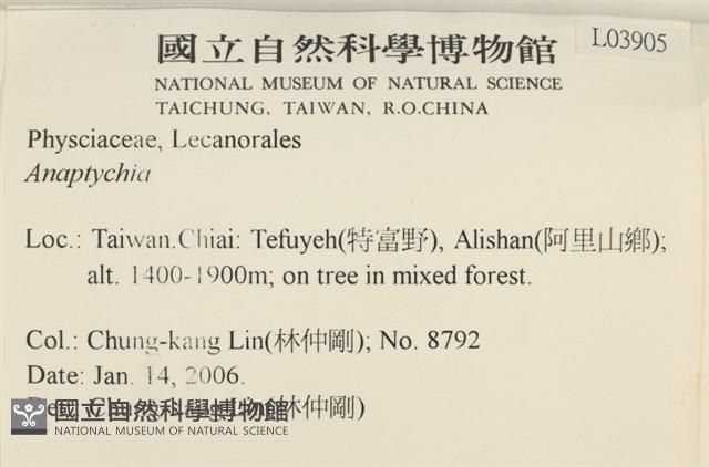 登錄號:L00003905藏品圖，第2張