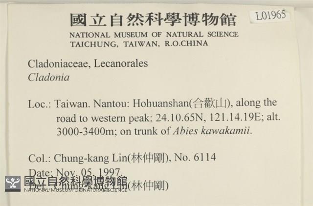 登錄號:L00001965藏品圖，第2張